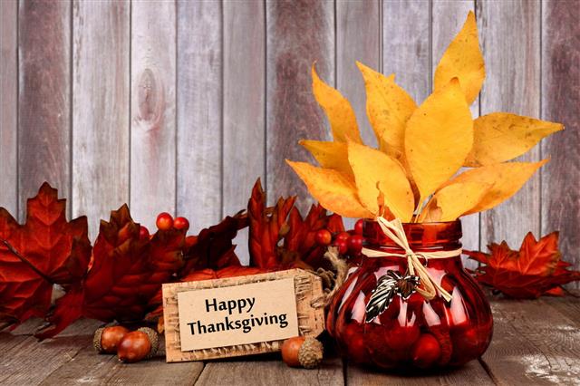 Thanksgiving Leaves And Decor
