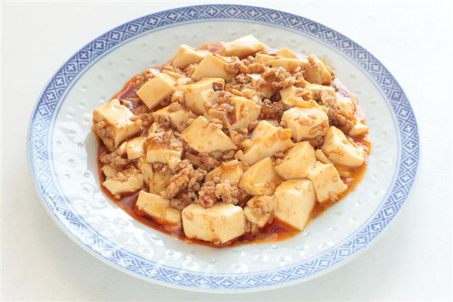 Chinese Food Mapo Tofu