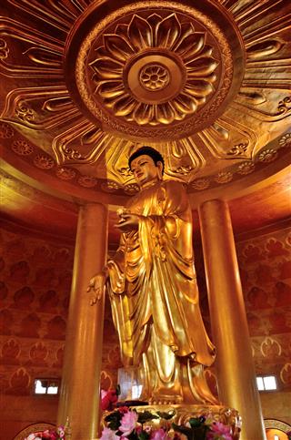 Buddha In Golden Summit