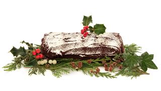 Yule Log Christmas Cake