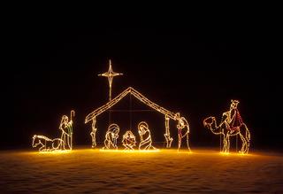 Christmas Manger Lights