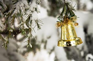 Christmas Bell On Pine Tree