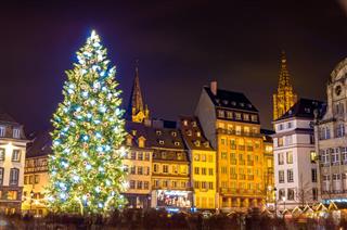 Christmas Tree In Strasbourg Capital