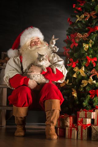 Santa Claus Sitting Near Christmas Tree