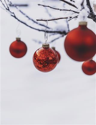 Red Christmas Baubles Hanging On Snow