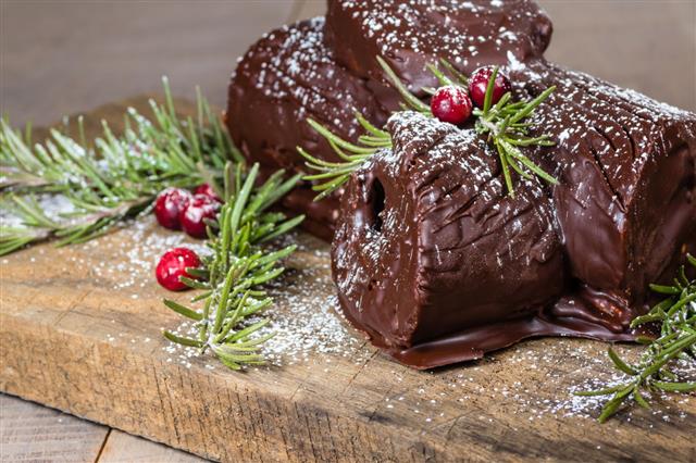 Chocolate Yule Log With Cranberries