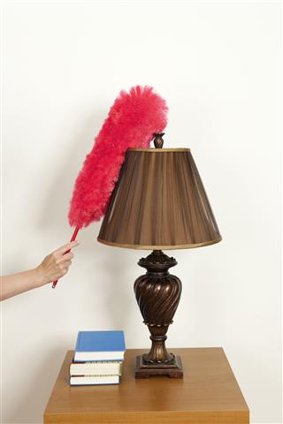 Woman Using Feather Duster On Lamp
