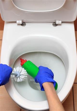 Hand Of Woman Cleaning Toilet Bowl
