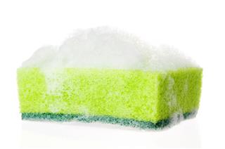 Soapy Sponge