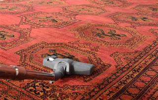 Vacuum Cleaner With Red Carpet