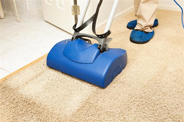 Carpet Cleaning With Brush