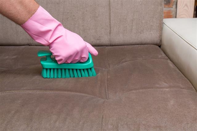 Sofa Chemical Cleaning