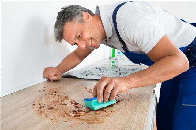 Happy Man Cleaning Counter With Sponge