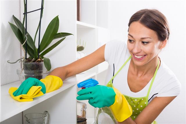 Woman Housewife Cleaning