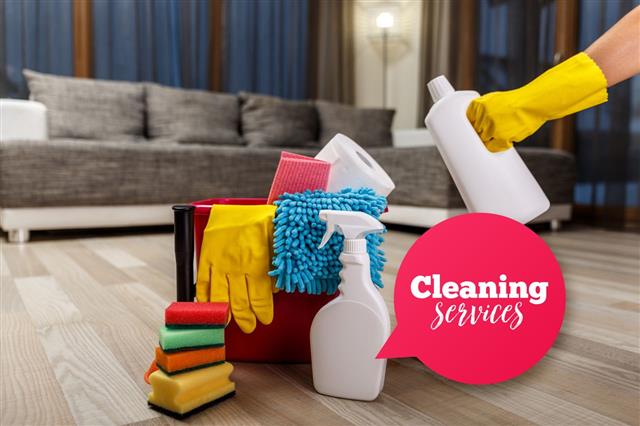 Cleaning Service Sponges Chemicals And Plunger