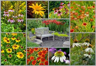 Summer Garden Collage