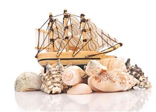 Sailing Vessel And Sea Shells