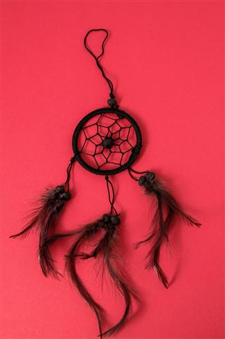 Typical Indian Dream Catcher