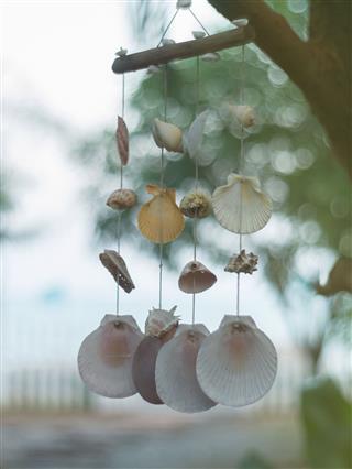 Hanging Seashells Mobile Blowing