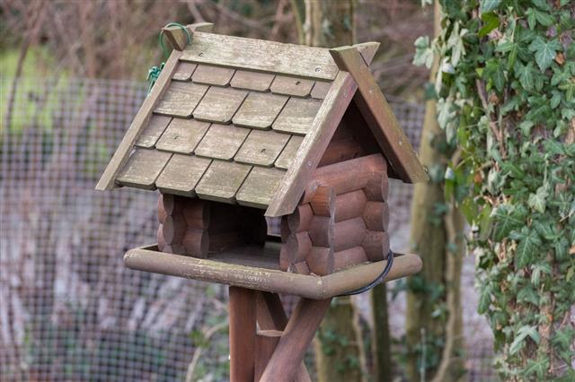 Wooden House For The Birds