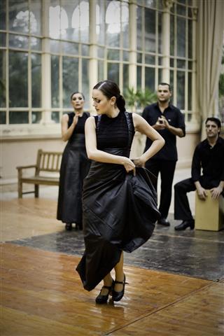 Flamenco Female Dancer Performing