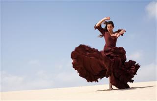 Flamenco In The Dunes
