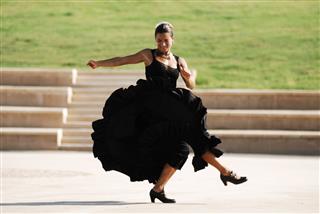 Flamenco Motion