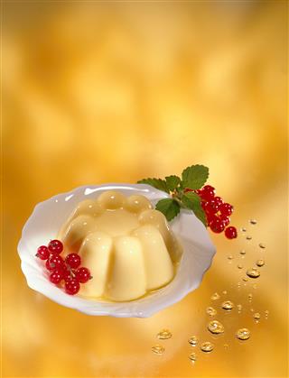 Vanilla Pudding Dessert