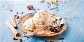 Homemade Ice Cream With Cinnamon