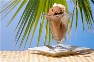 Ice Cream Against Green Palm Leaf
