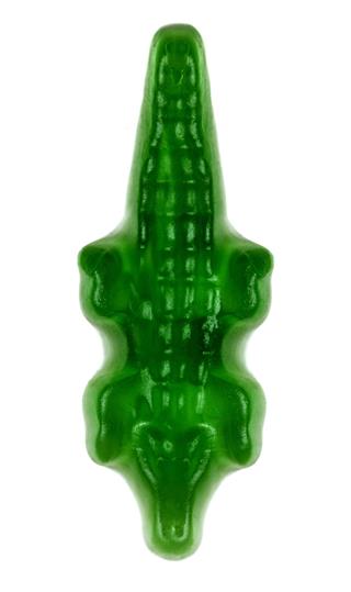 Jelly Crocodile