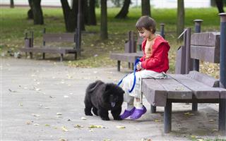 Girl And Chow Chow