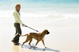 Woman Walking With Dog On Beach