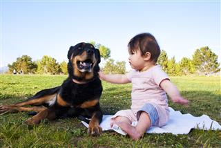 Friendship Between Dog And Baby