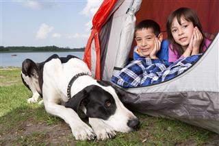 Boy And Girl Camping With Dog