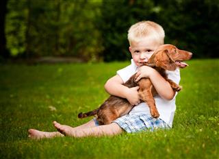 Little Boy With His Puppy