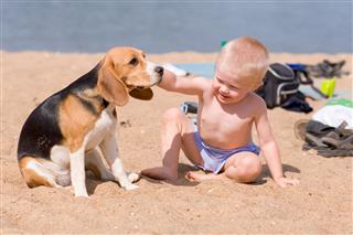 Boy With A Dog On Beach