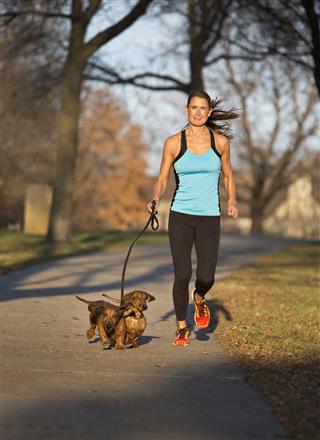 Jogger And Dachshunds