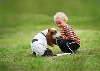 Little Girl Playing With A Dog