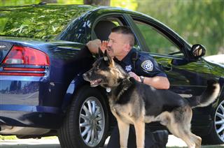 Canine Unit Police Dog And Handler