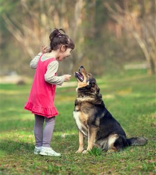 Little Girl Playing With Big Dog