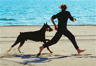 Woman And Her Doberman Playing