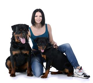 Woman With A Rottweiler Dog