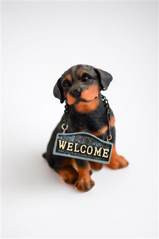 Rottweiler Puppy Takes Guests