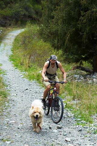 Mountain Biker And Dog On Road