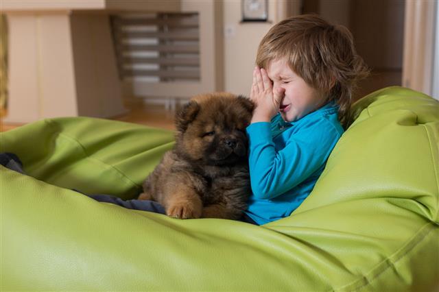 Allergic Little Boy And Puppy Relaxing