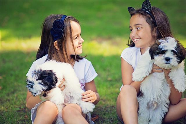 Little Girls With Their Dogs