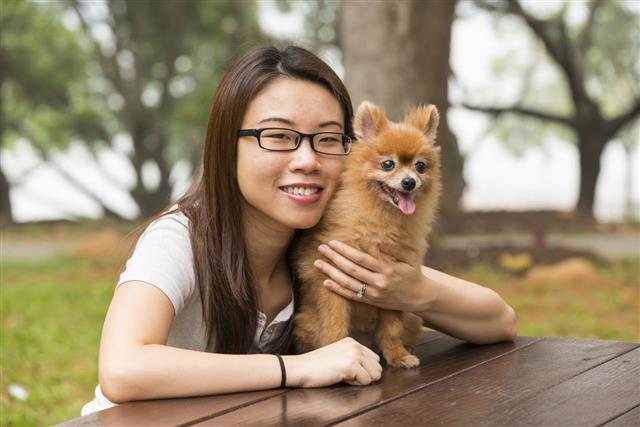 Happy Asian Woman And Pomeranian