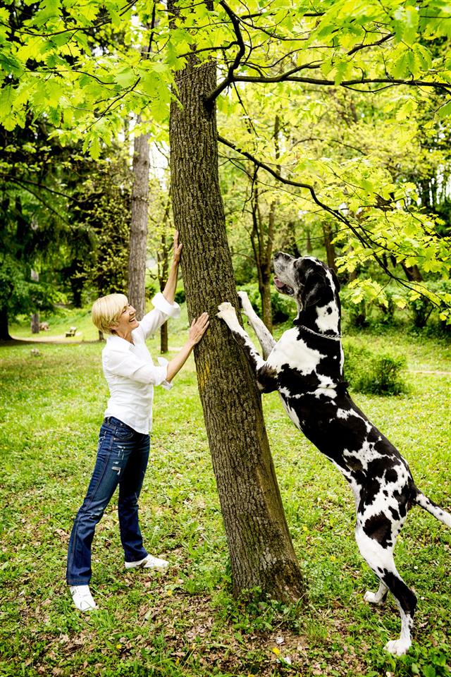 Woman Playing With Great Dane