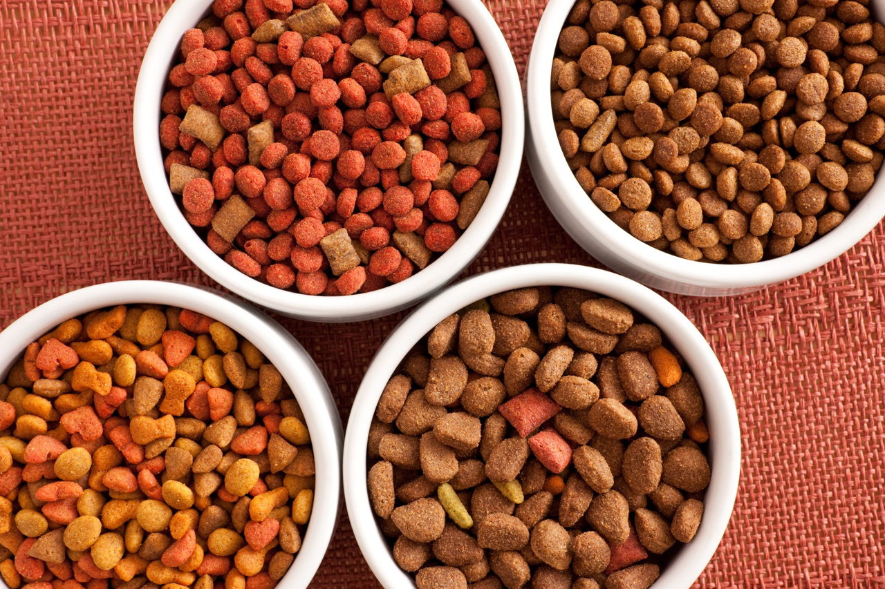 Best Dog Food for Pitbulls to Satisfy Their Nutritional Needs